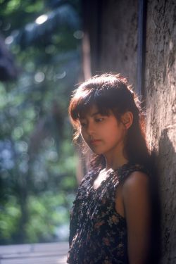 公与熄大战苏晴